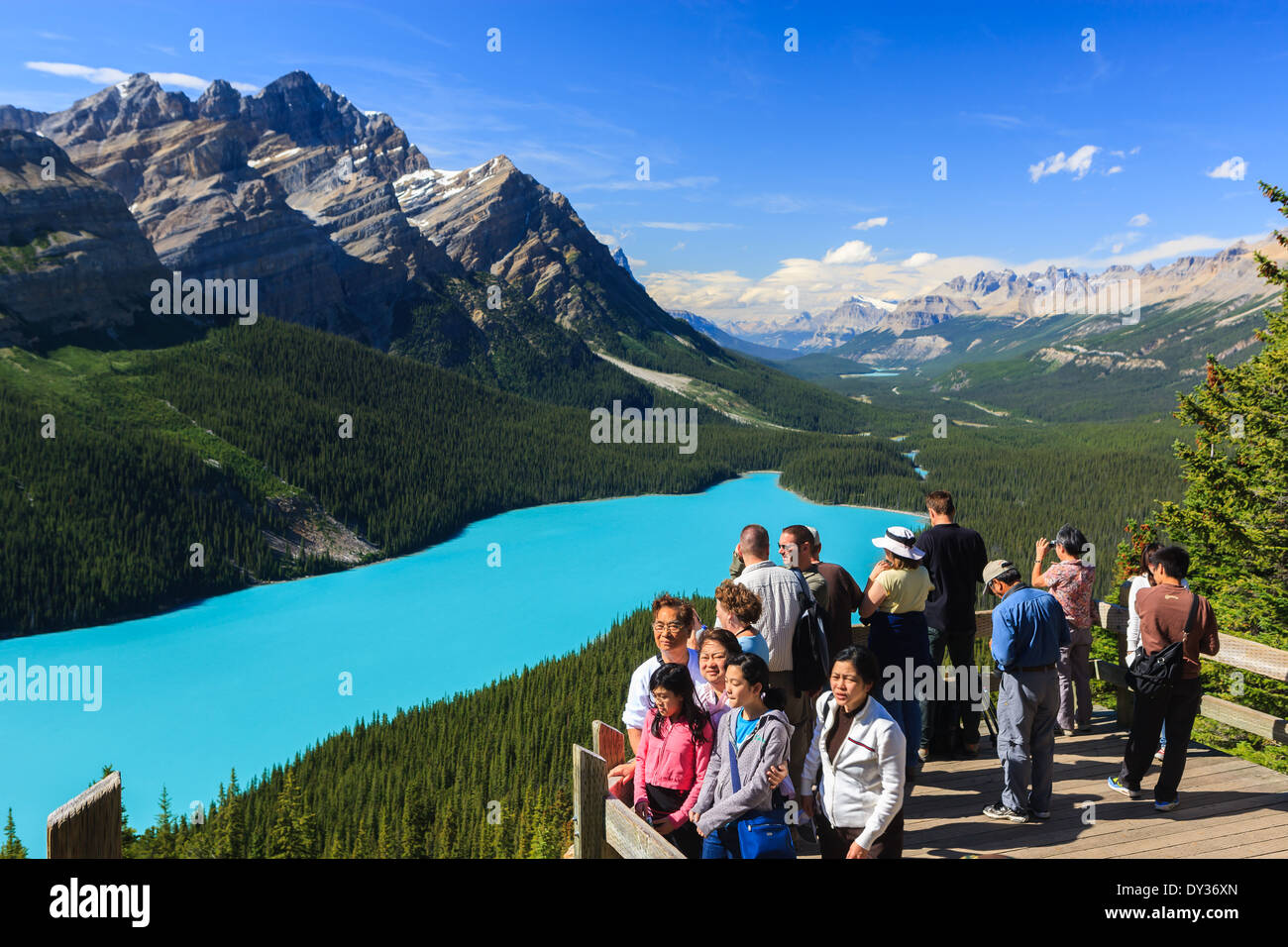 Surplombant le lac Peyto Banff dans N.P, Alberta, Canada Banque D'Images