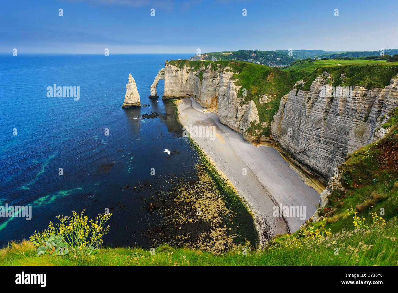 Les falaises d'Etretat sur la côte normande, France Banque D'Images
