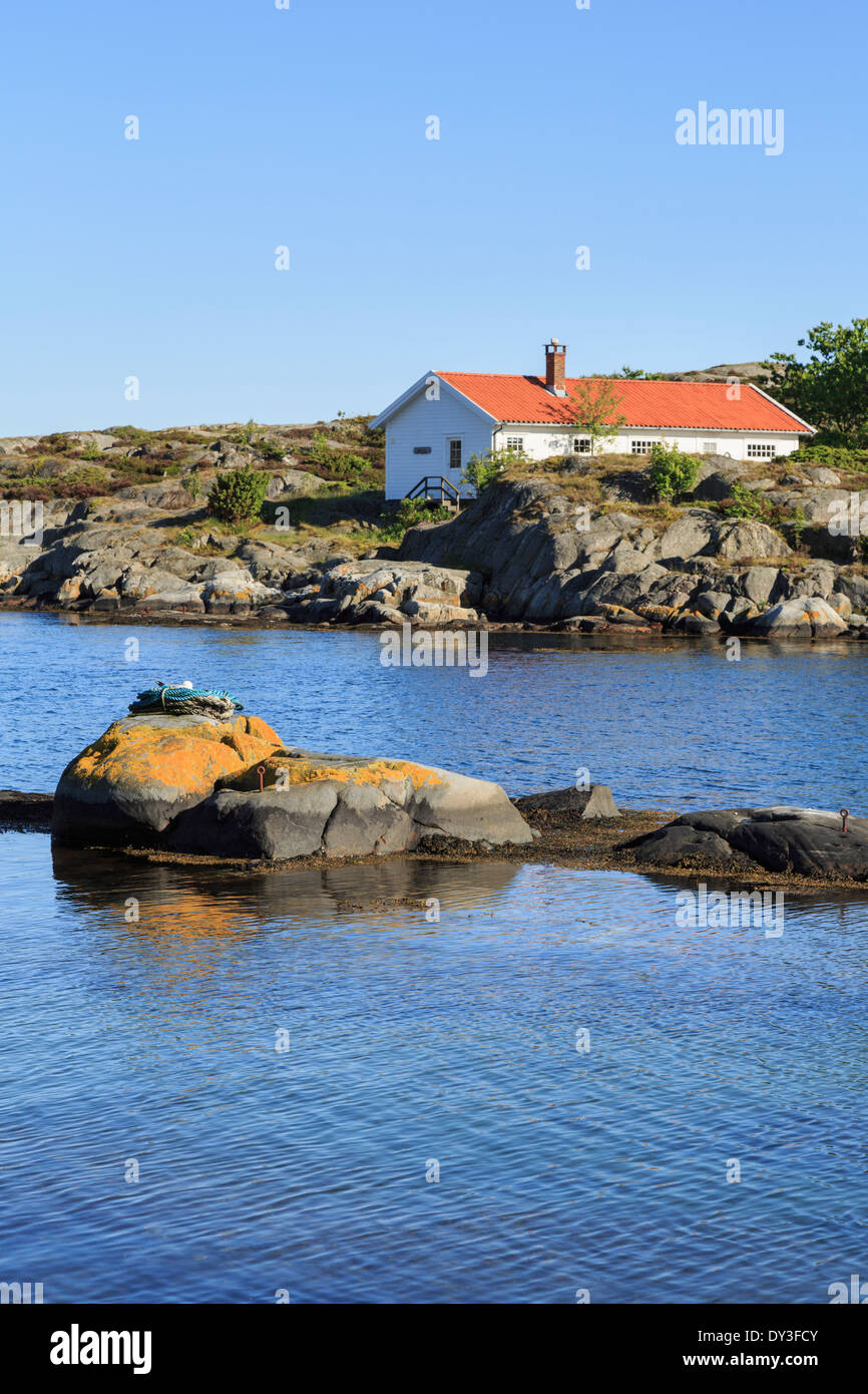 Nidification Gull dans une corde enroulée sur un rocher dans une crique rocheuse avec une cabine d'été sur la côte sud. Hovag Kristiansand Norvège Scandinavie Banque D'Images