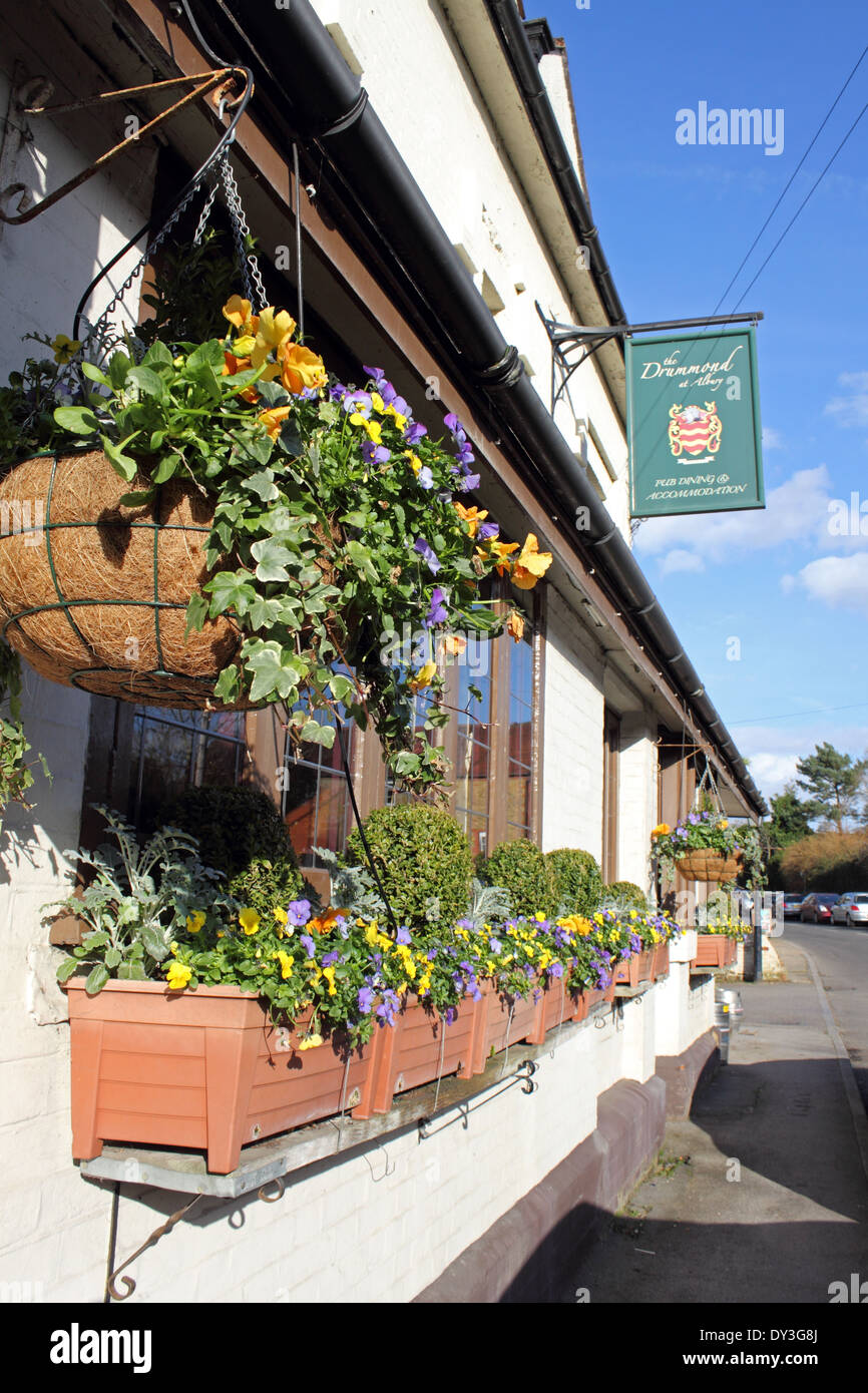 Le Drummond pub à Albury, Surrey, England, UK Banque D'Images
