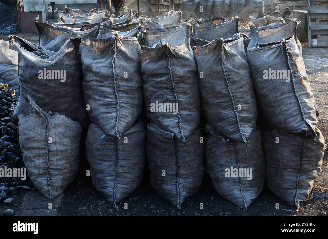 Des sacs de charbon dans un chantier de charbon. Banque D'Images