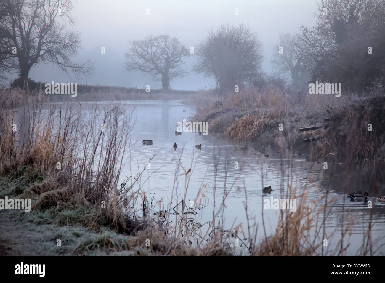 Un matin glacial de janvier, sur le Grand Canal de l'Ouest, Burlescombe, Devon Banque D'Images