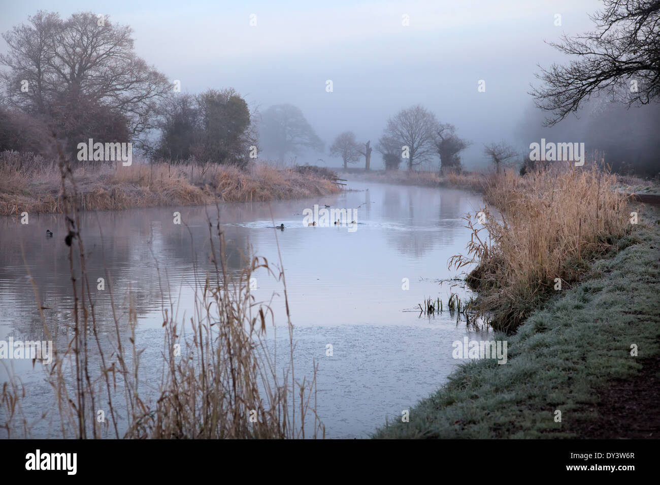 Un matin glacial de janvier, sur le Grand Canal de l'Ouest, Burlescombe, Devon Banque D'Images