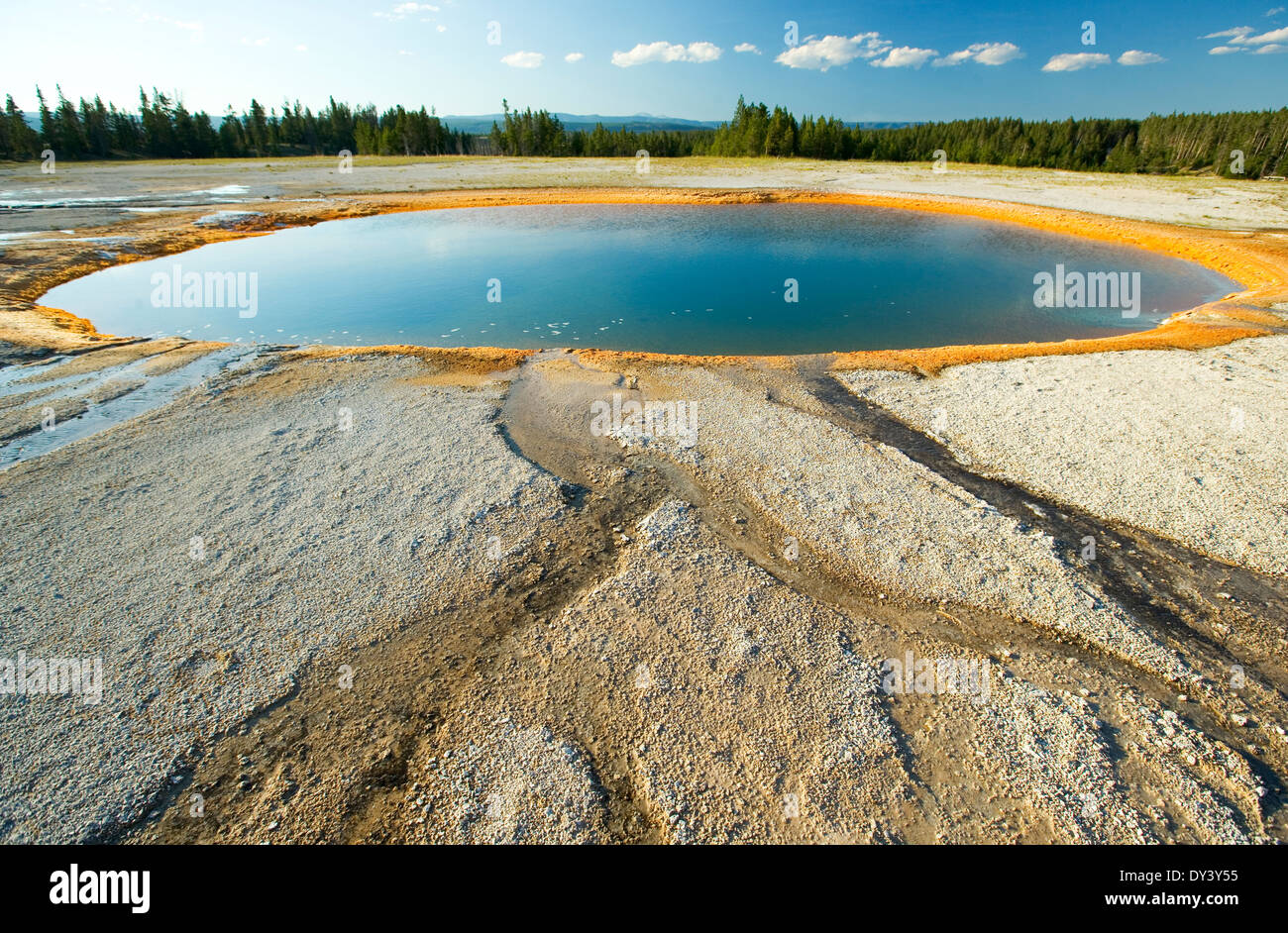 Source géothermique extérieure, le Parc National de Yellowstone. Banque D'Images