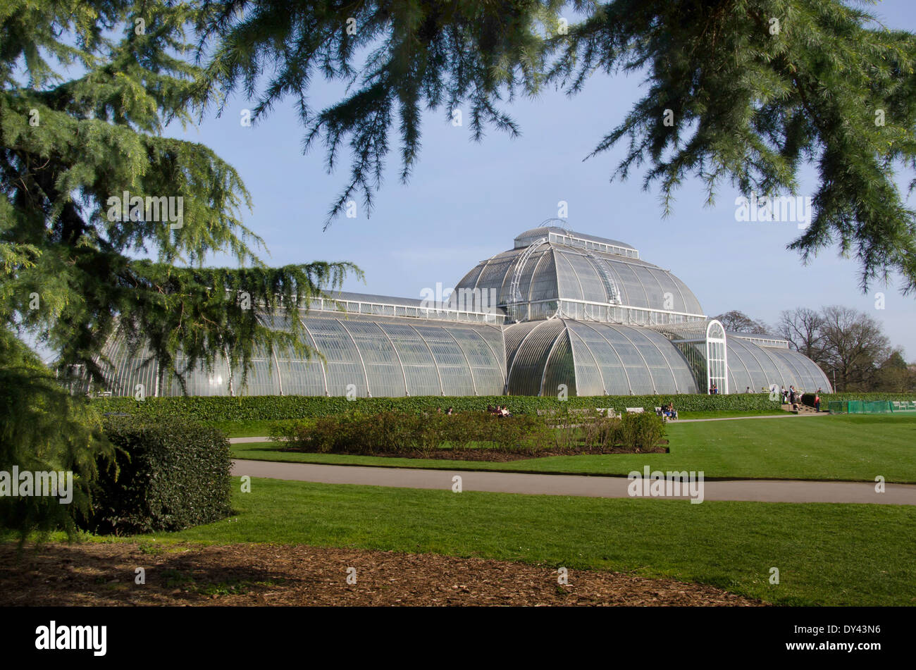 Le Palm House au Royal Botanical Gardens, Kew Gardens, London England UK. Banque D'Images