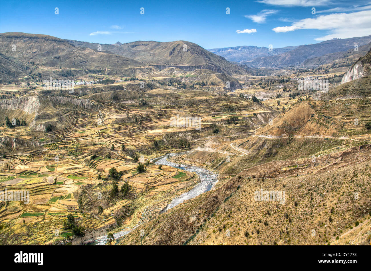 Terrasses au Canyon du Colca près de Arequipa, Pérou Banque D'Images