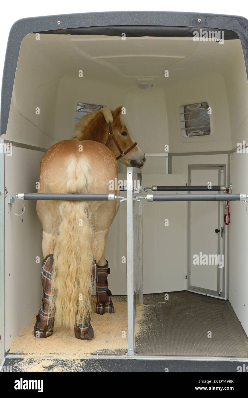 Horse trailer Banque de photographies et d'images à haute résolution - Alamy
