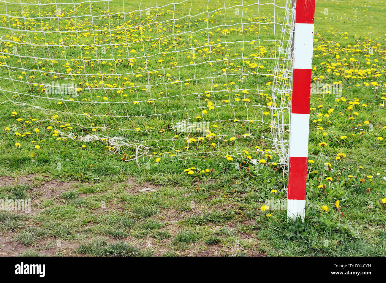 Poteau de but de football et net avec des fleurs de printemps de l'IIN Banque D'Images