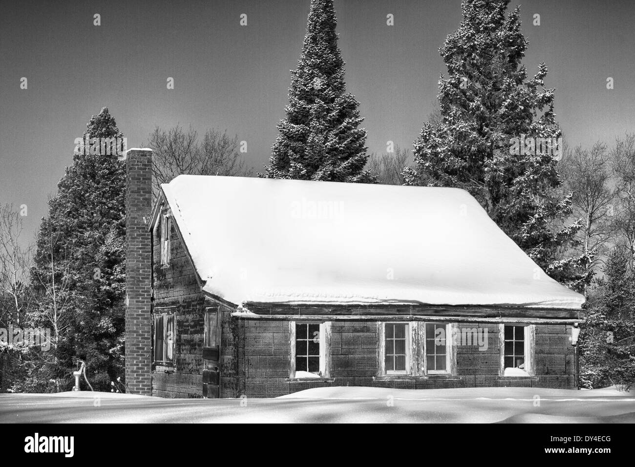 Chalet dans le nord du Wisconsin Banque D'Images