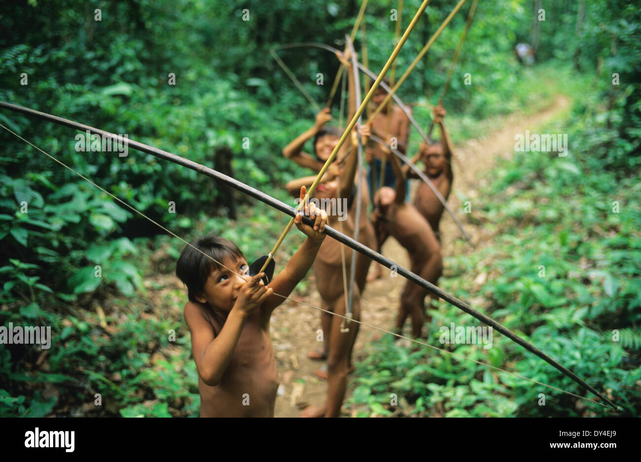 Les garçons Yanomami, les jeunes chasseurs d'arcs et de flèches, apprendre à chasser, tout en jouant dans la forêt tropicale. Amazonie, Brésil Banque D'Images
