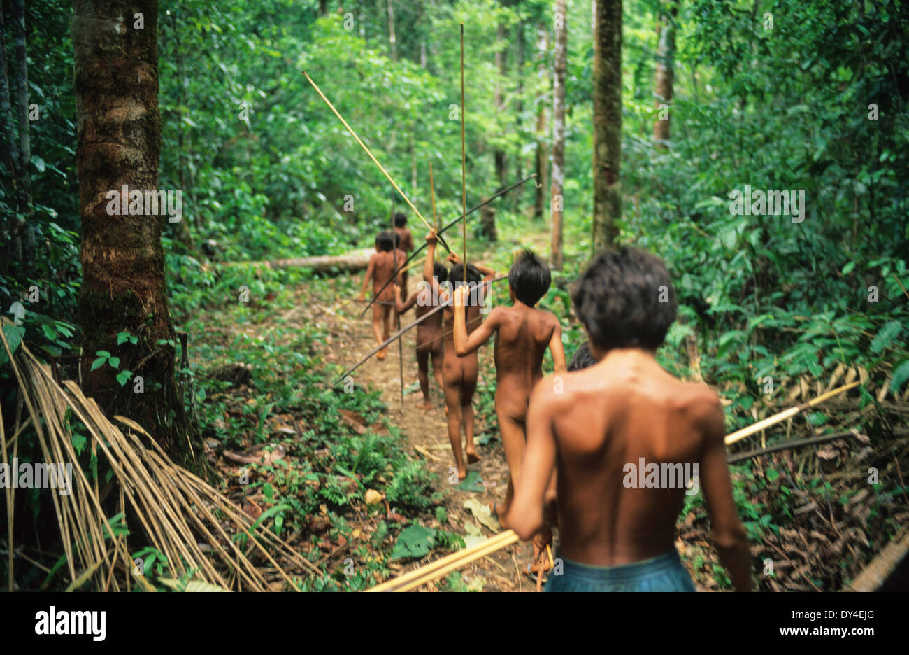 Les garçons Yanomami, les jeunes chasseurs d'arcs et de flèches, apprendre à chasser, tout en jouant dans la forêt tropicale. Amazonie, Brésil Banque D'Images