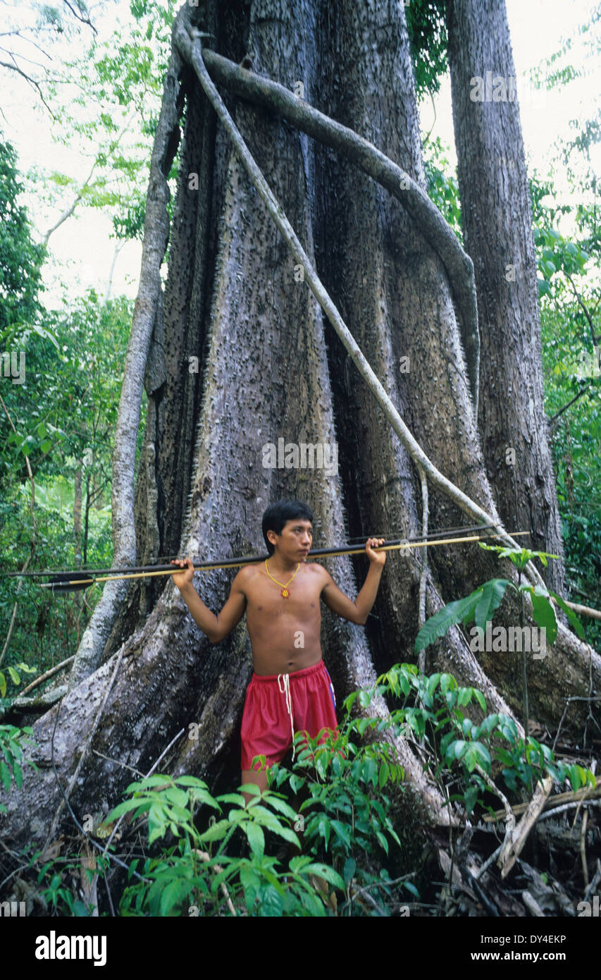 Les Indiens Yanomami avec arc et flèche, Roraima province, près de Boa Vista, au Brésil, Amazon Banque D'Images