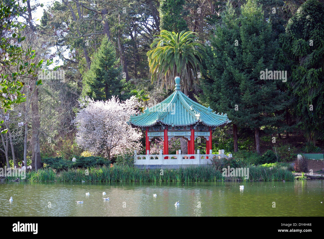 Vue sur le pavillon chinois sur Stowe Lake dans le parc du Golden Gate Banque D'Images
