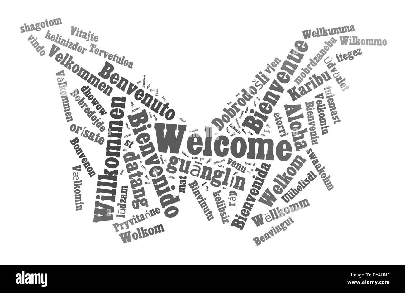 78 phrase d'accueil dans différentes langues. Mots concept cloud Banque D'Images