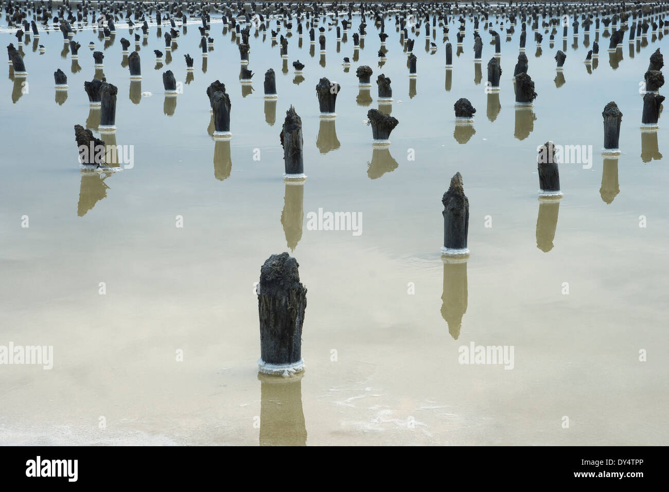 Vestiges d'un ancien revêtement pour la production de sel sur un lac Baskunchak Banque D'Images