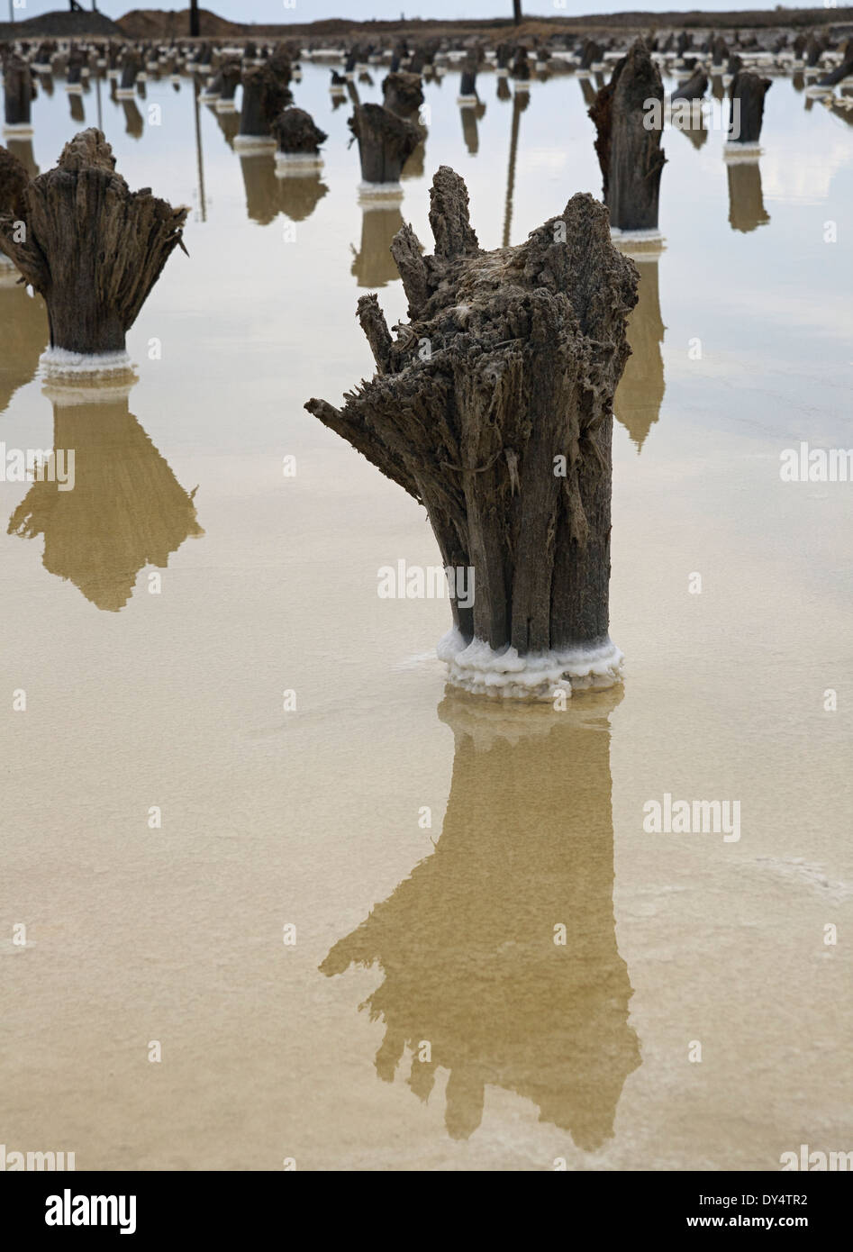 Vestiges d'un ancien revêtement pour la production de sel sur un lac Baskunchak Banque D'Images