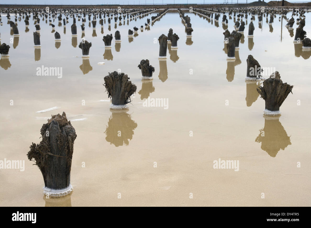 Vestiges d'un ancien revêtement pour la production de sel sur un lac Baskunchak Banque D'Images