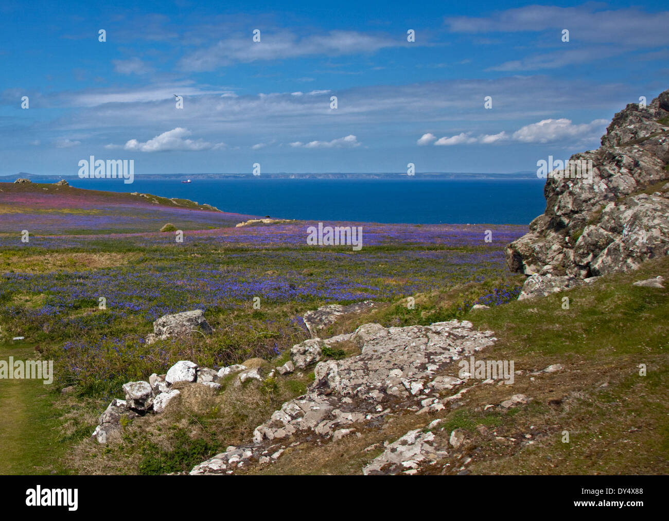 L'île de Skomer, Pembrokeshire, Pays de Galles Banque D'Images
