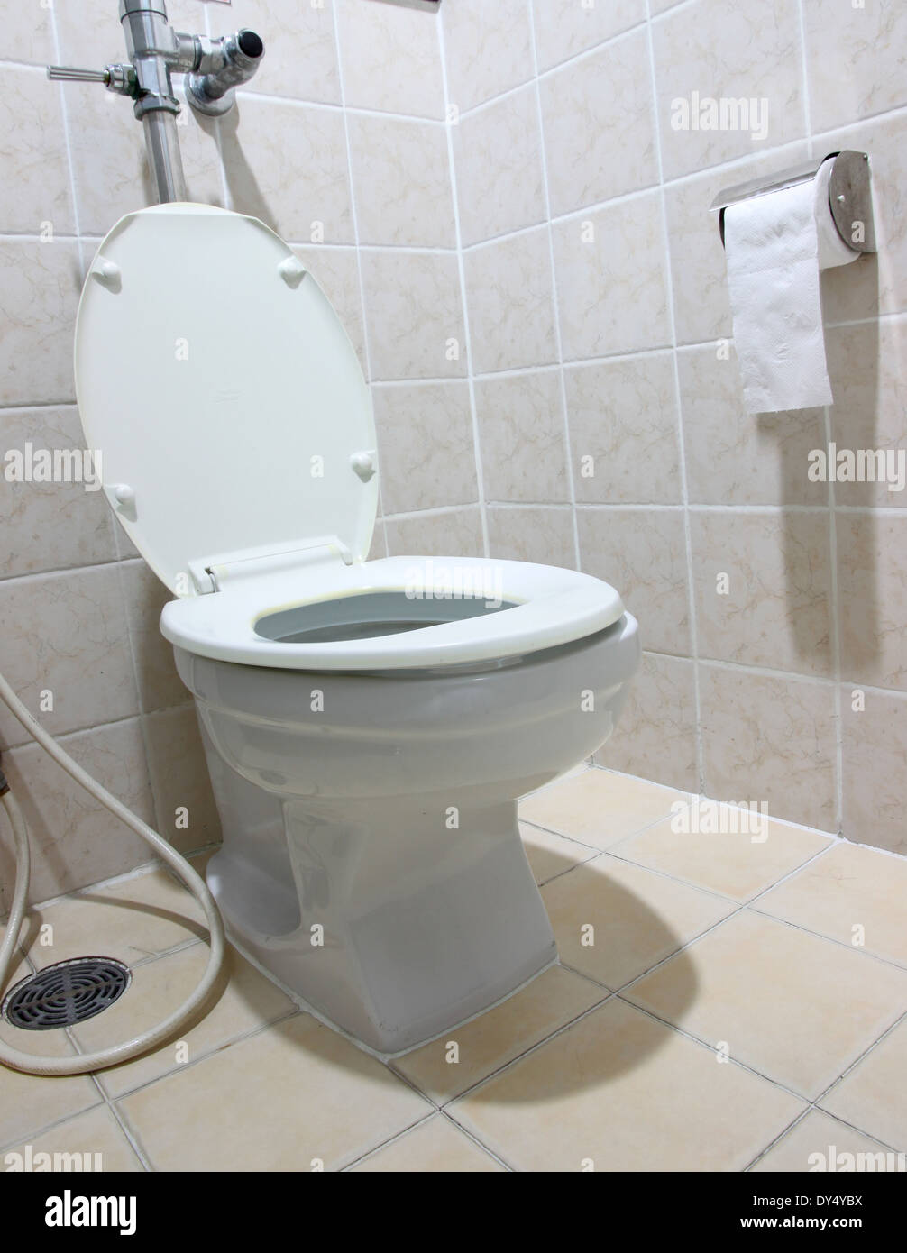 Toilettes à chasse d'eau blanche et le papier toilette dans une salle de bains. Banque D'Images