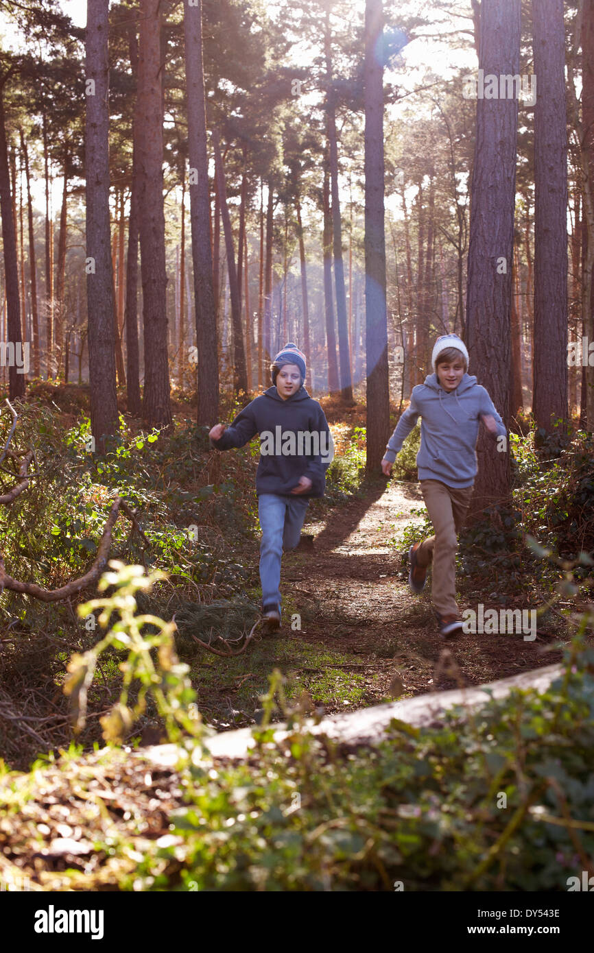 Les frères jumeaux course à travers la forêt Banque D'Images