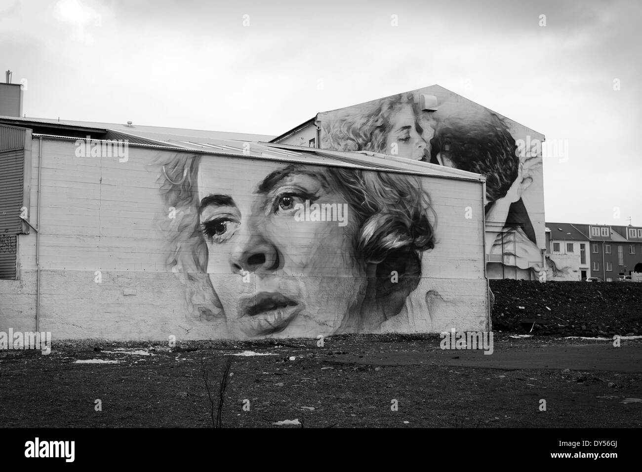 L'art de mur détaillées sur le côté d'un immeuble à Reykjavik, Islande Banque D'Images