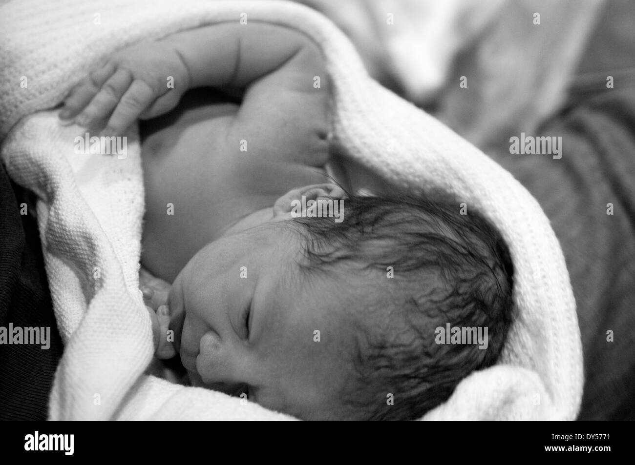Photo En Noir Et Blanc De Naissance Bebe Fille Enveloppe Dans Une Couverture Etant Detenu Par Papa Photo Stock Alamy