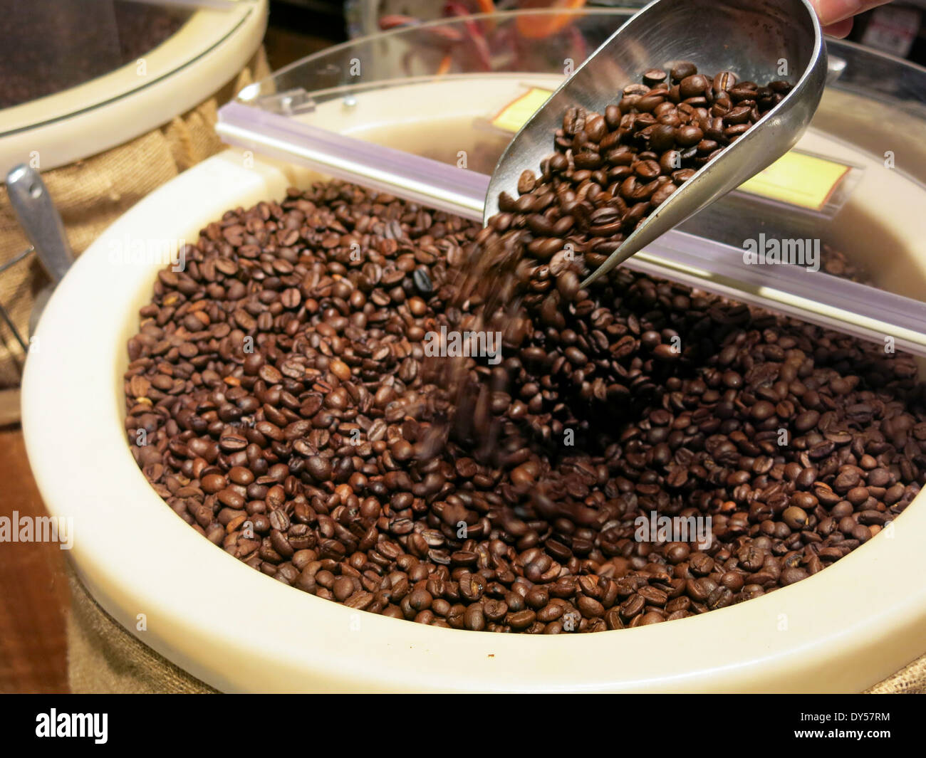 Des grains de café frais dans le bac en libre-service, USA Banque D'Images