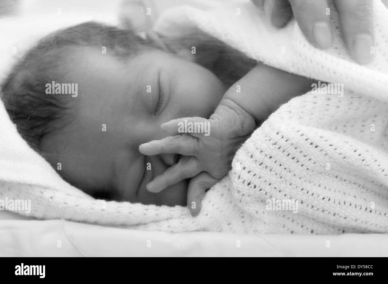 Photo En Noir Et Blanc De Naissance Bebe Fille Enveloppe Dans Une Couverture A L Hopital Bebe Endormi Photo Stock Alamy Photo En Noir Et Blanc De Naissance Bebe Fille Enveloppe Dans Une Couverture A L Hopital Bebe Endormi Photo Stock Alamy