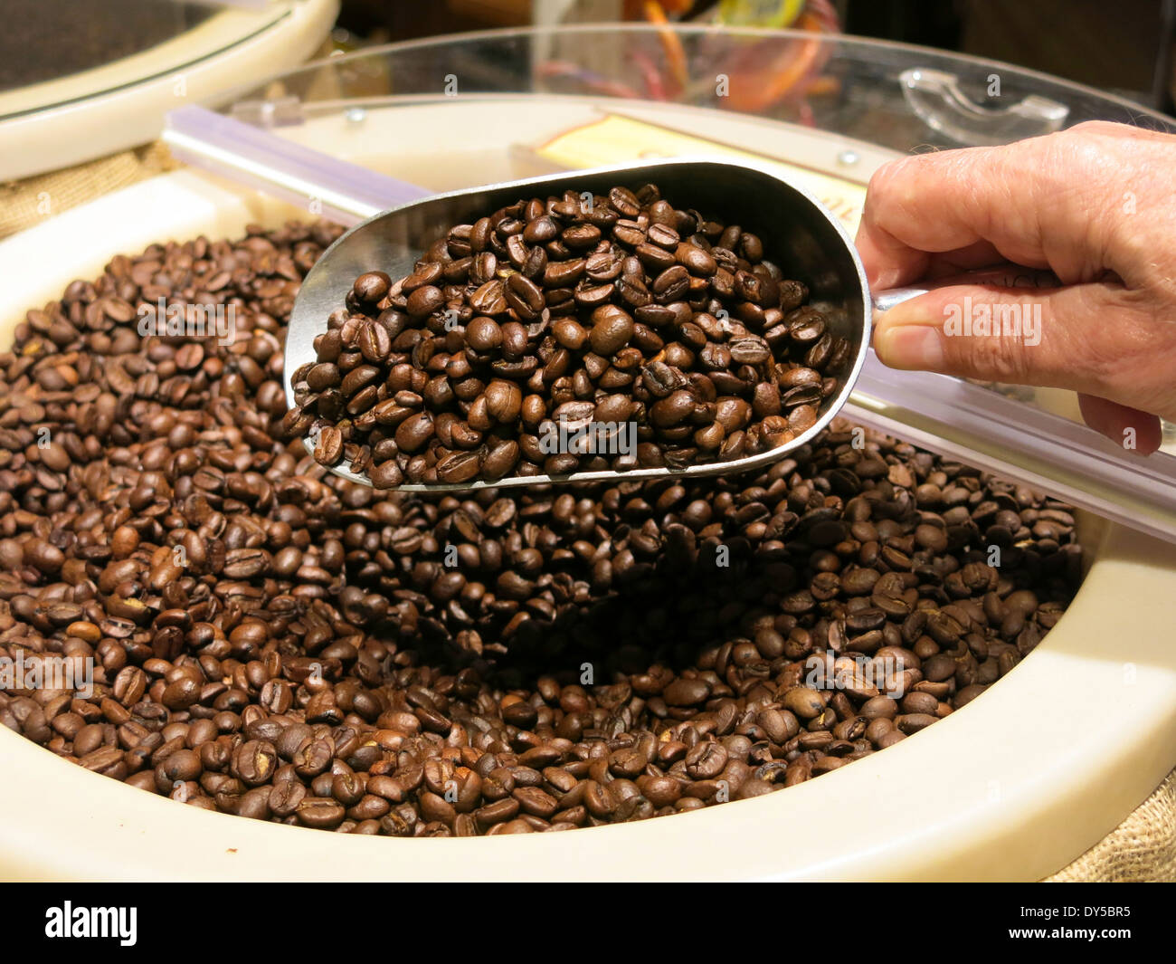 Des grains de café frais dans le bac en libre-service, USA Banque D'Images