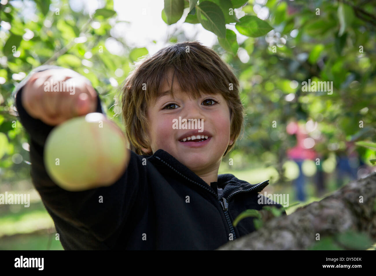 Portrait of a Boy holding up apple fraîchement cueillies Banque D'Images