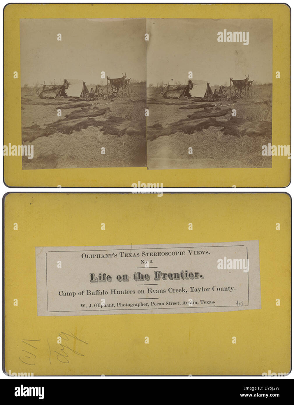 Cette image représente un camp de chasseurs de bisons situé sur Evans Creek dans le comté de Taylor, au Texas. La scène représente la vie frontalière dans l'Ouest américain, mettant l'accent sur la chasse, les abris et l'importance culturelle de la chasse au bison. Banque D'Images