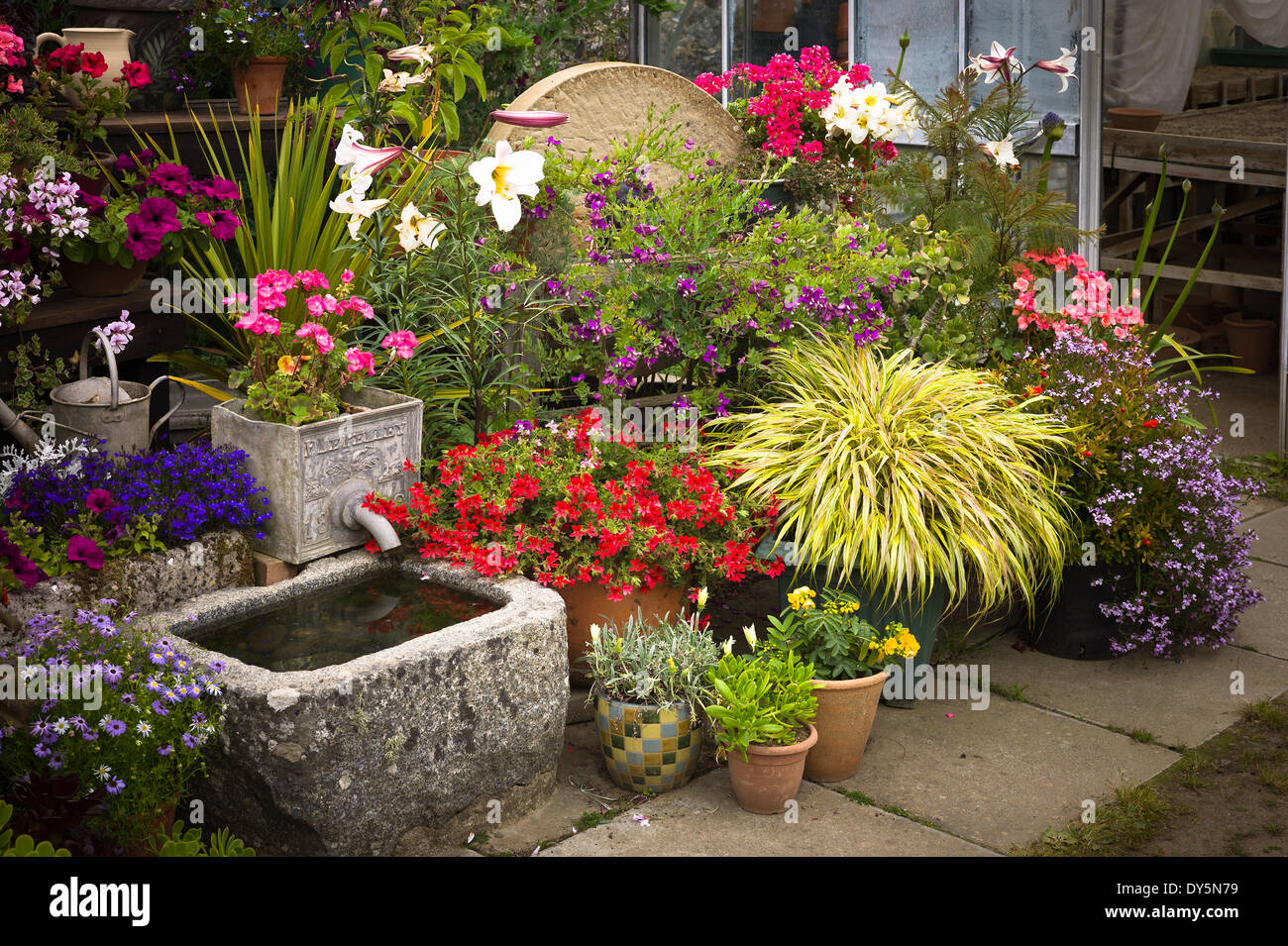 Tapisserie de jardinières et plantes à fleurs dans un jardin Channel Islands Banque D'Images