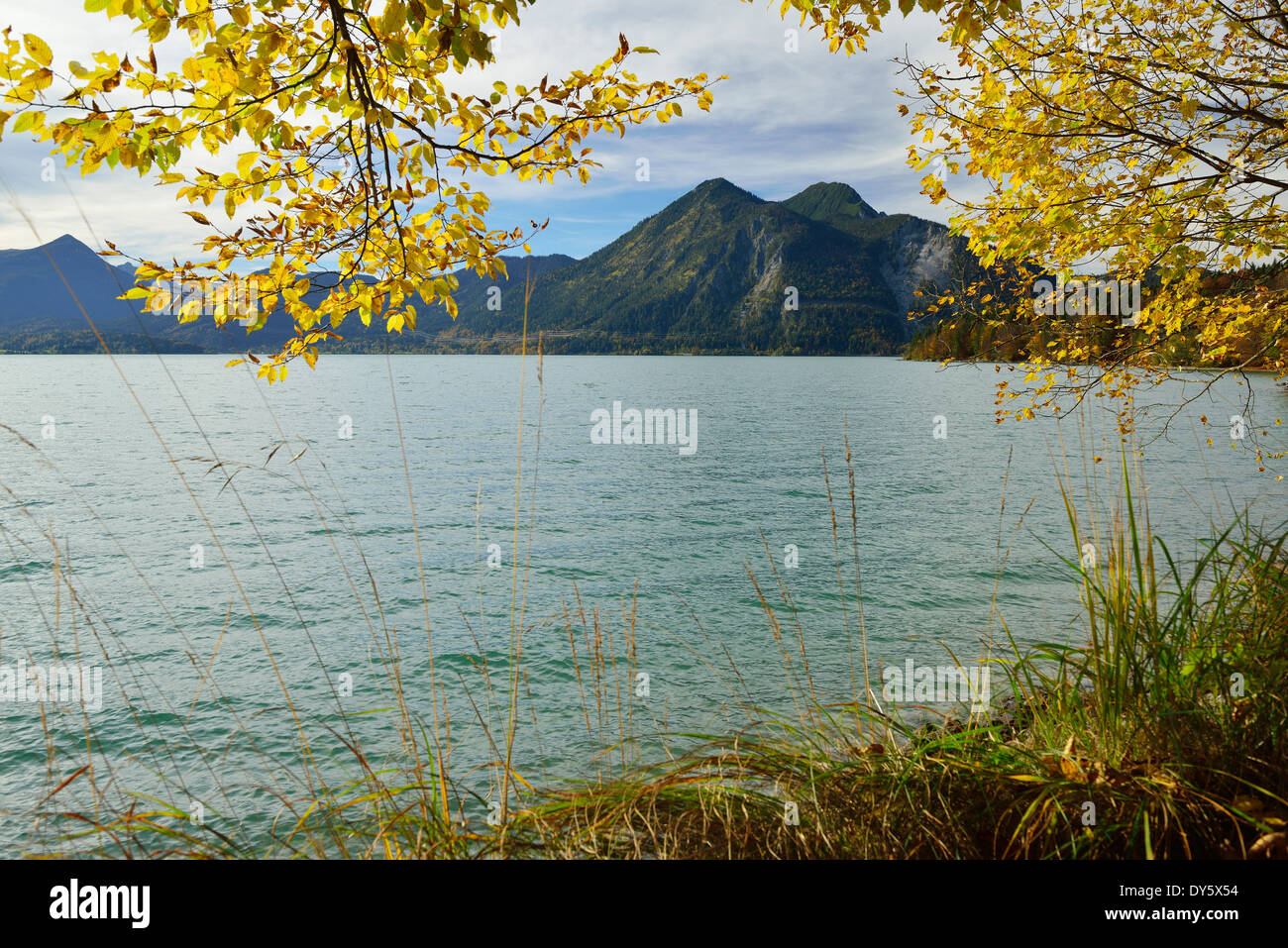 Le lac de Walchensee en automne, contreforts bavarois, Haute-Bavière, Bavière, Allemagne Banque D'Images