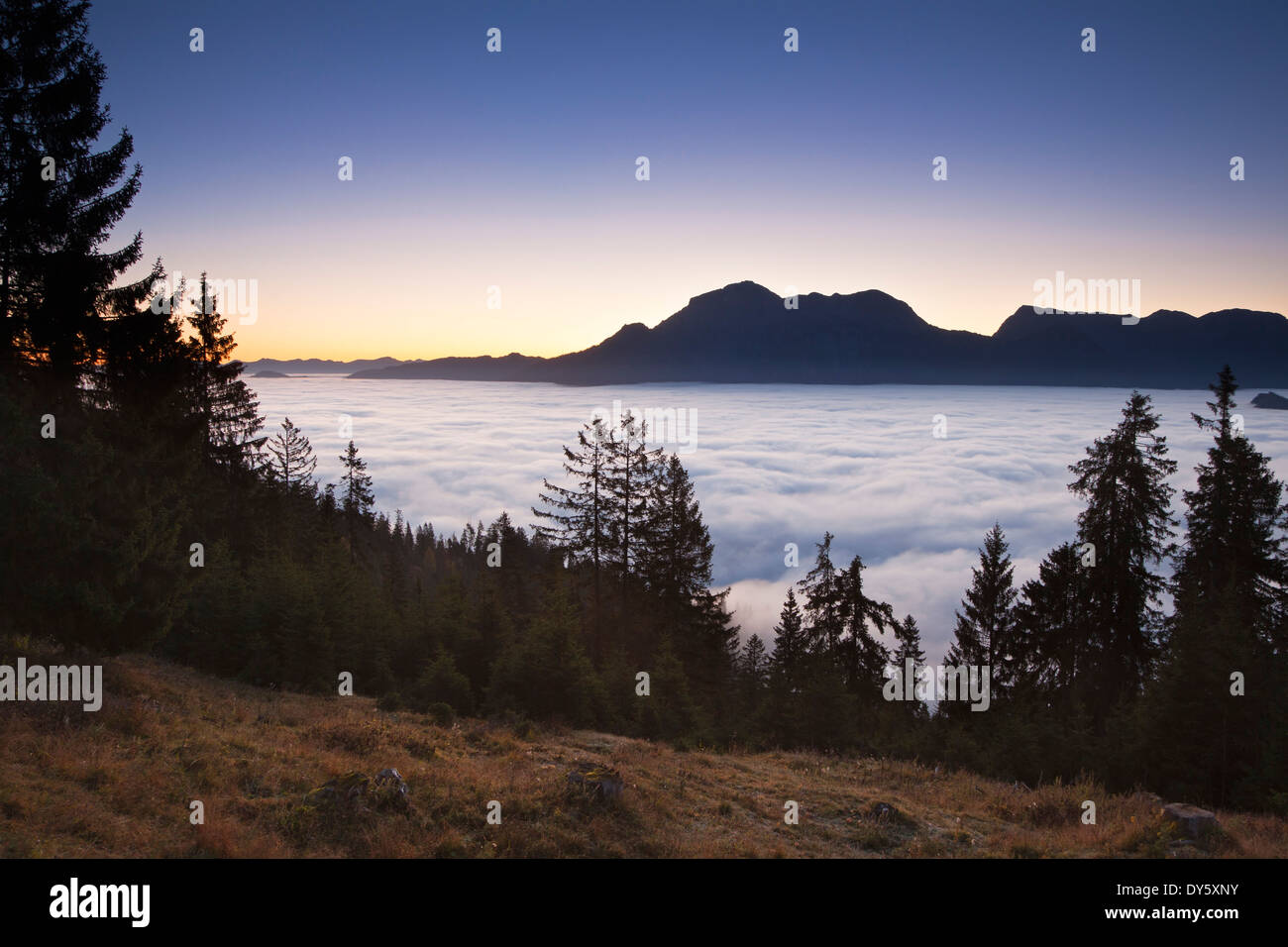 Vue sur le brouillard dans la vallée sur Hoher Goell Hohes et Brett, région de Berchtesgaden, le parc national de Berchtesgaden, Upper Bavar Banque D'Images