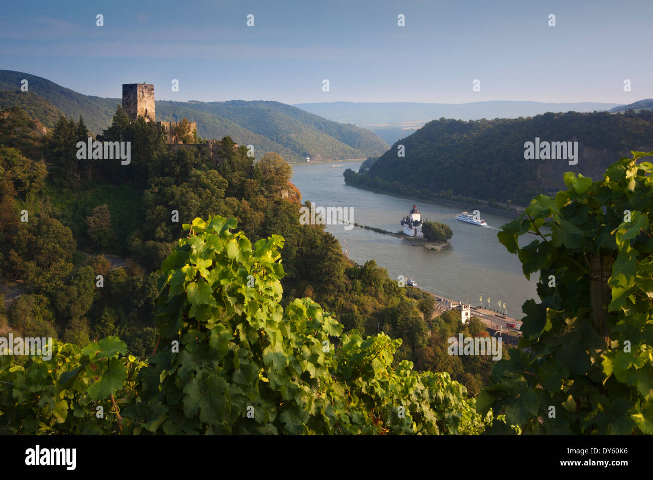 Vue depuis le vignoble de Château Gutenfels et château Pfalzgrafenstein, du patrimoine culturel mondial de l'Unesco, près de Kaub, Rhin, Banque D'Images