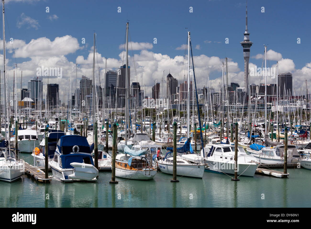 Westhaven Marina avec la ville et la Sky Tower, Auckland, île du Nord, Nouvelle-Zélande, Pacifique Banque D'Images