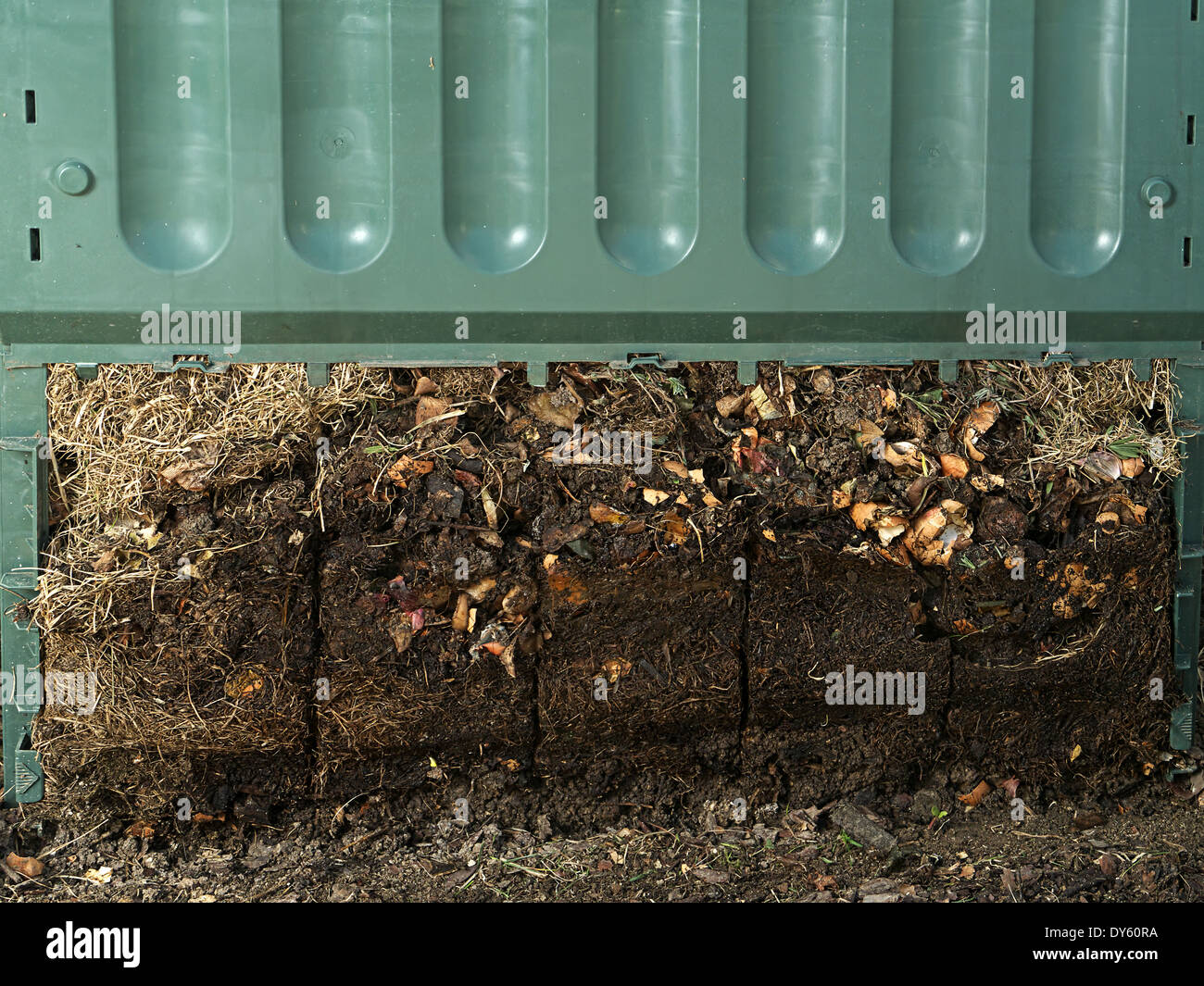 Gros plan du bac à compost en plastique vert avec partie inférieure retirée pour afficher les processus de décomposition du sol Banque D'Images