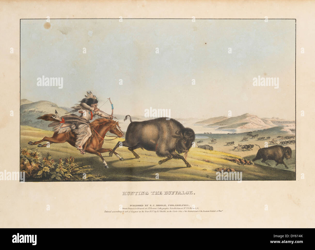 La chasse au bison était une activité importante pour les Indiens d'Amérique du Nord. Buffalo fournissait des ressources essentielles pour la nourriture, les vêtements et les outils, et leur chasse était une pratique culturelle et économique clé. Banque D'Images