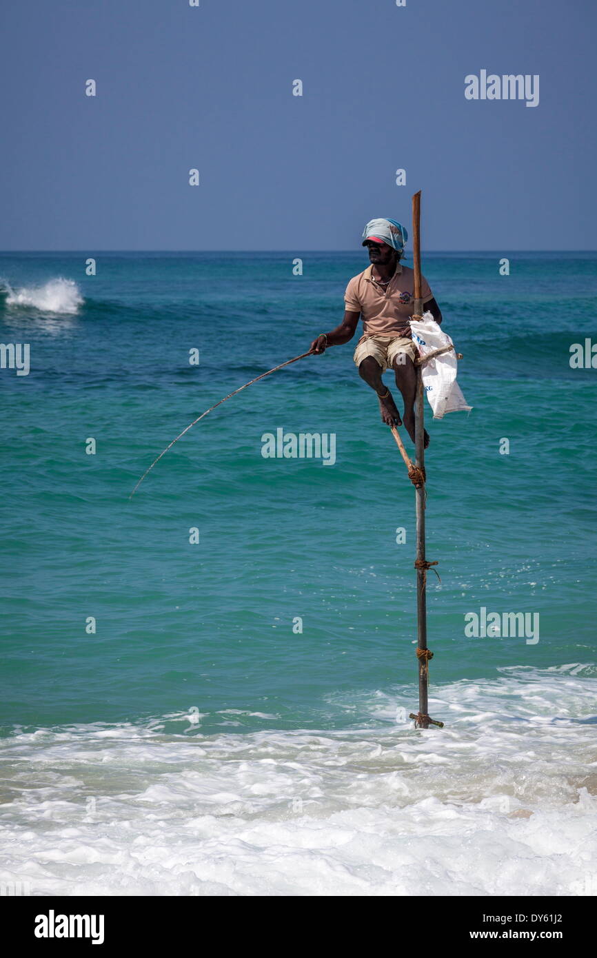 Pêcheur sur pilotis à l'aide de techniques de pêche traditionnelles sur un poteau en bois, Weligama, au Sri Lanka, de l'Océan Indien, l'Asie Banque D'Images