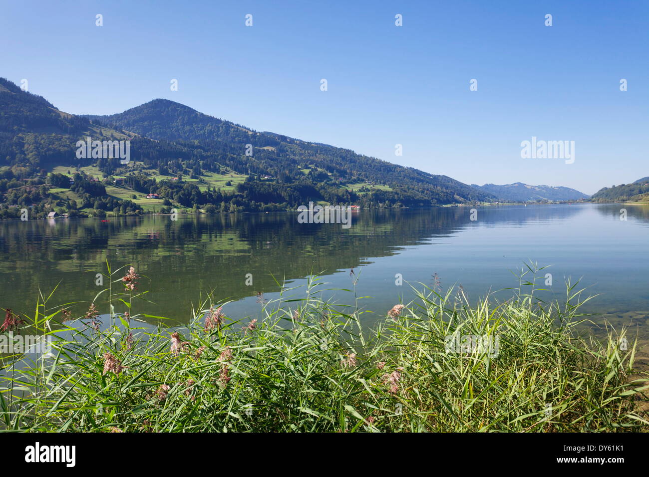 Lac Alpsee, Immenstadt, Allgau, Bavaria, Germany, Europe Banque D'Images