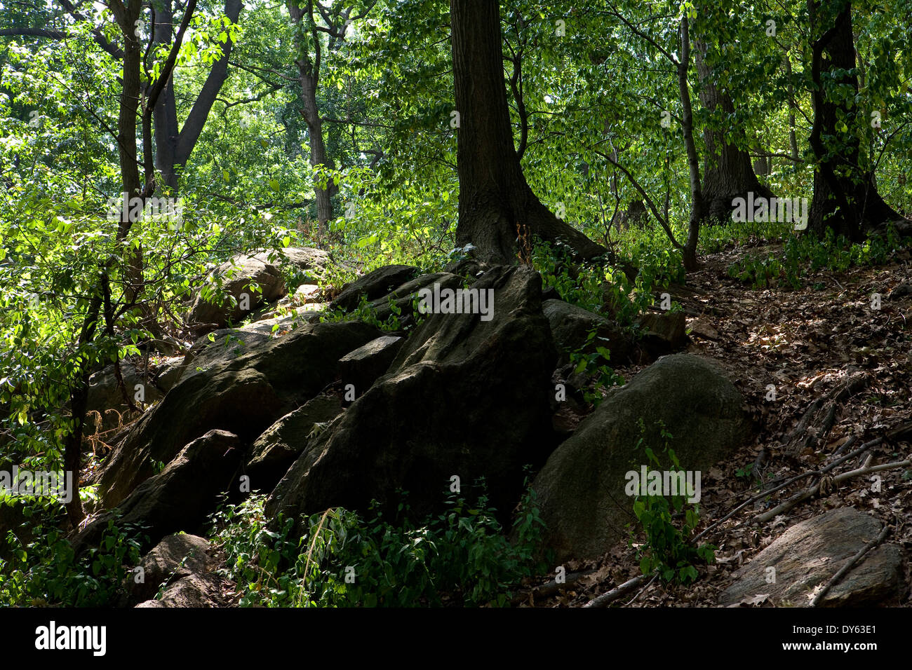 Inwood Hill Park, à Manhattan, New York City, New York, en Amérique du Nord, Etats-Unis Banque D'Images