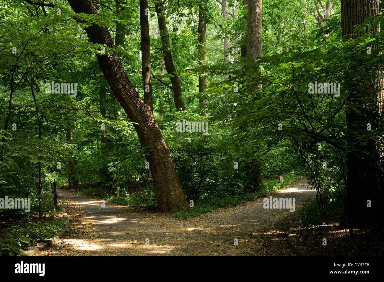 Inwood Hill Park, à Manhattan, New York City, New York, en Amérique du Nord, Etats-Unis Banque D'Images