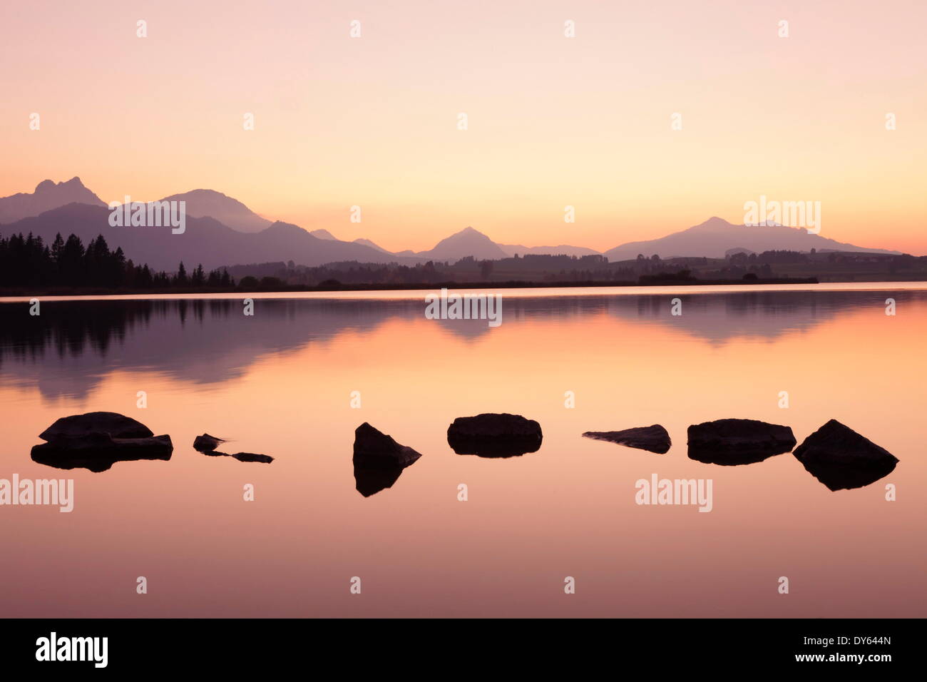 Coucher de soleil au lac Hopfensee, près de Fussen, Allgau, Allgau Alpes, Bavaria, Germany, Europe Banque D'Images