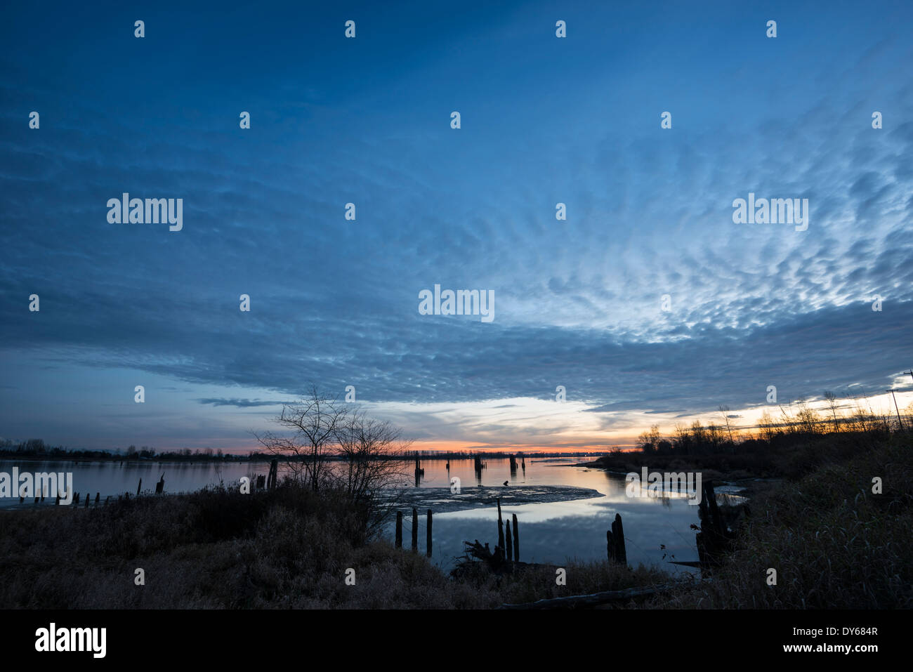 Vue du coucher de piliers de bois dans une baie de la rivière Pitt Banque D'Images