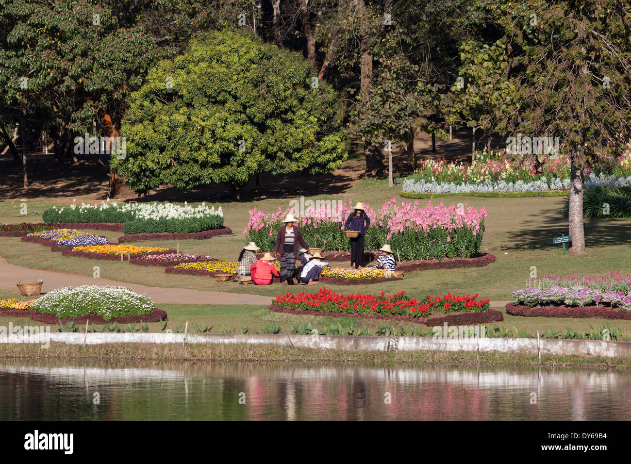Les femmes qui font le jardinage à la National Kandawgyi Botanical Gardens à pyin u lwin, Myanmar Banque D'Images