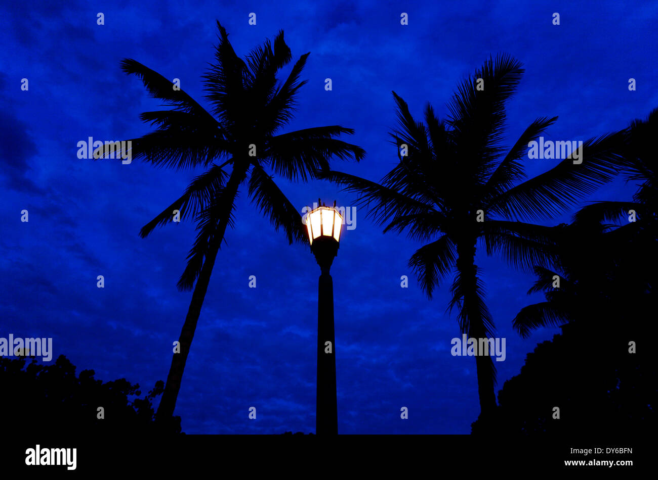 Deep blue night à Waikiki, Honolulu, Oahu, Hawaii. Banque D'Images