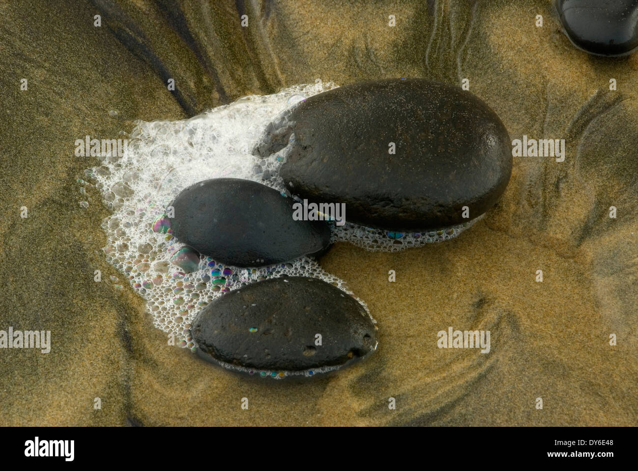 Des galets sur la plage, les routes fin State Park, New York Banque D'Images