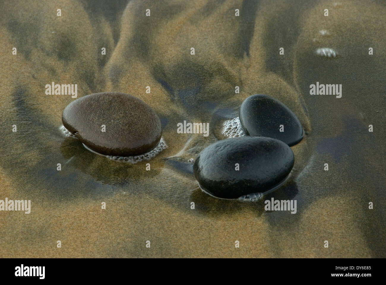 Des galets sur la plage, les routes fin State Park, New York Banque D'Images