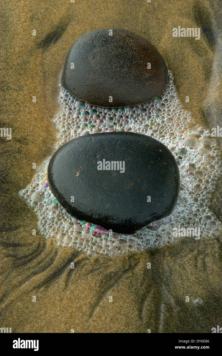 Des galets sur la plage, les routes fin State Park, New York Banque D'Images