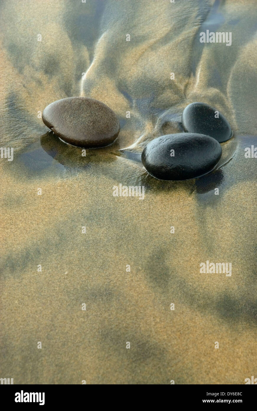 Des galets sur la plage, les routes fin State Park, New York Banque D'Images